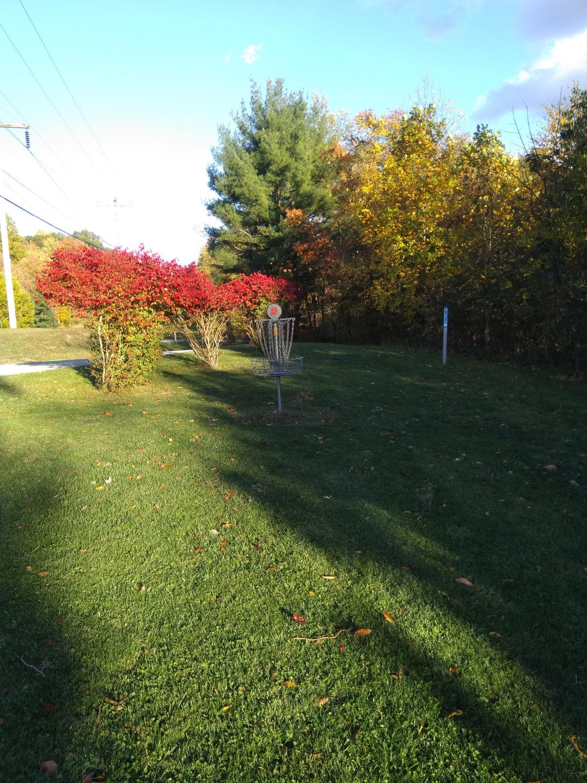 Hole #5 basket