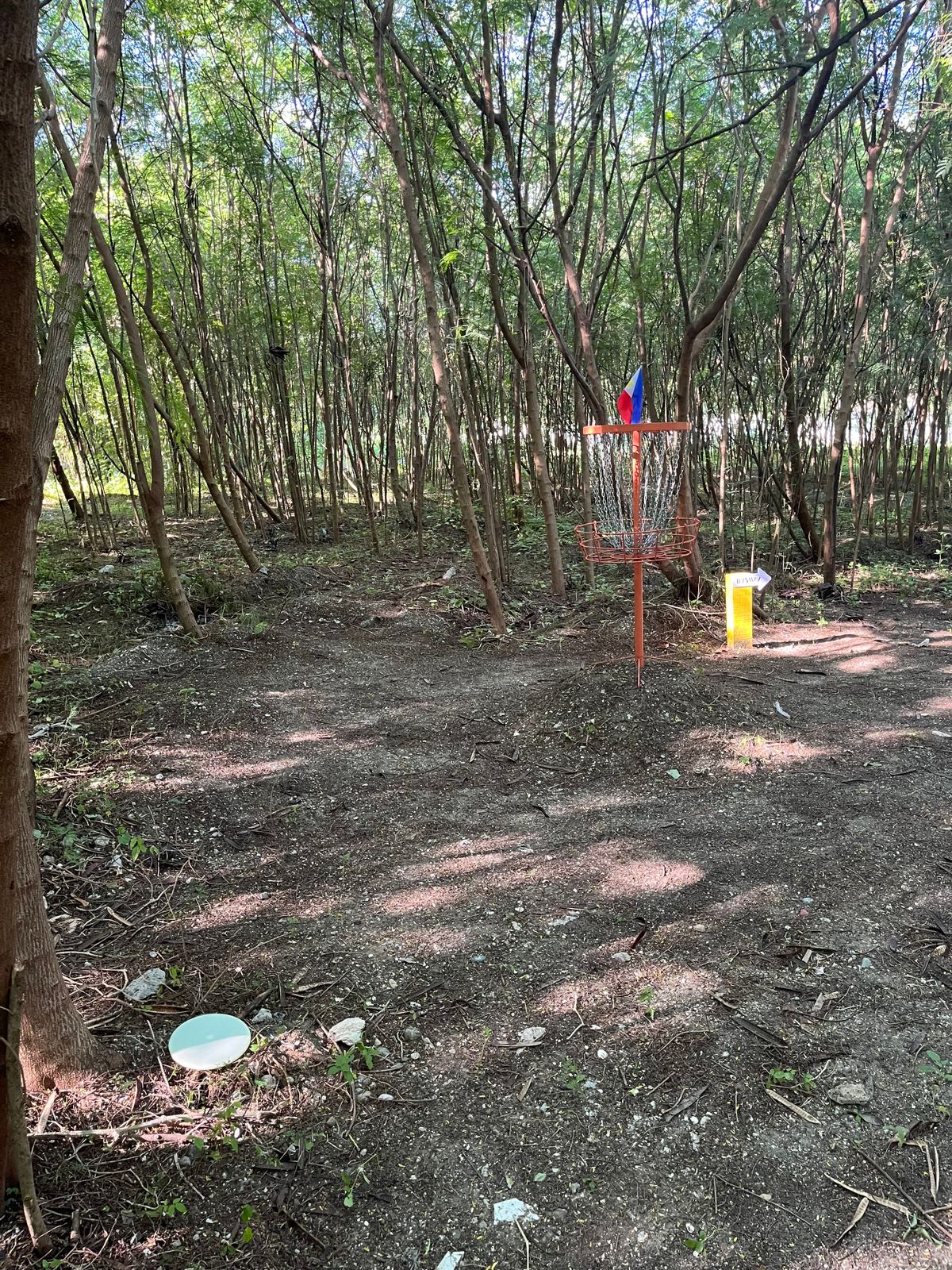 Hole 4