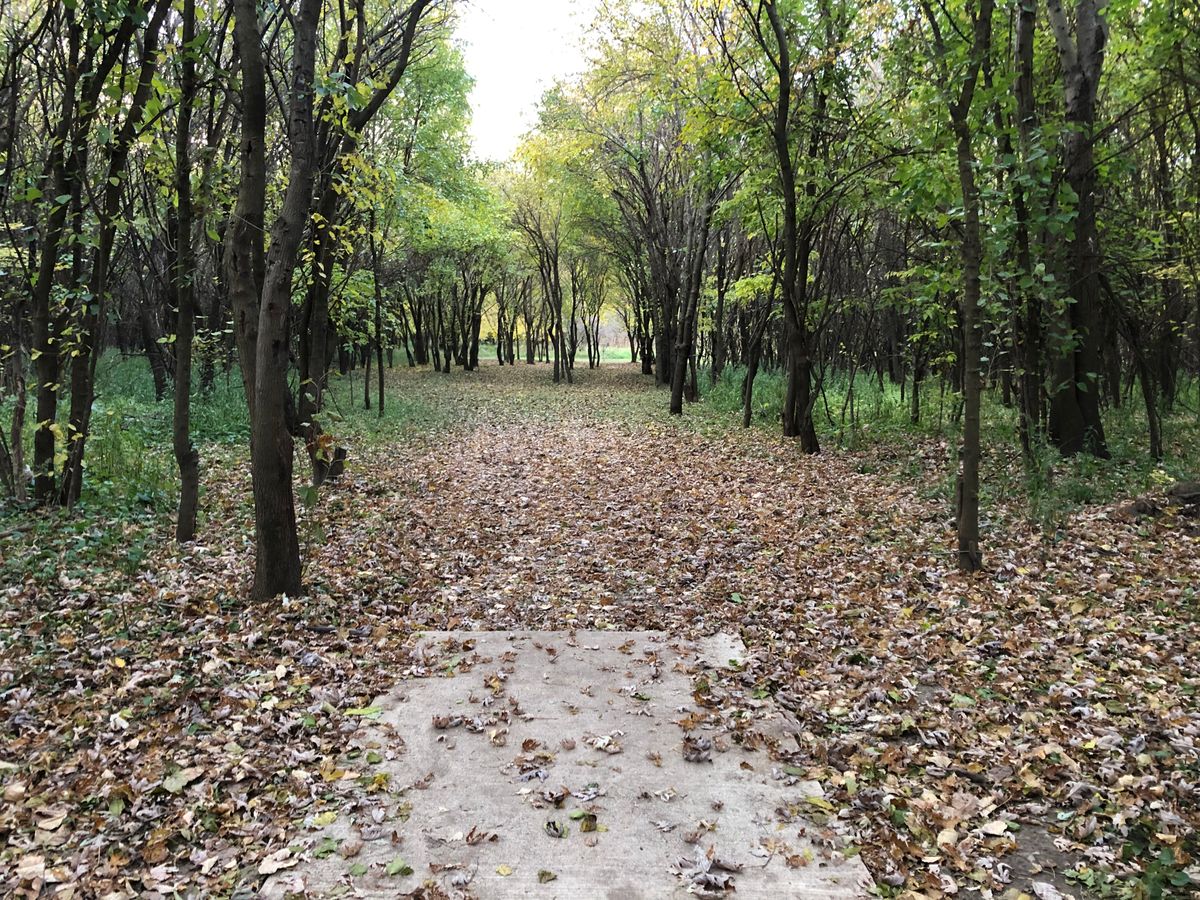Hole 1 Red Tee 2022