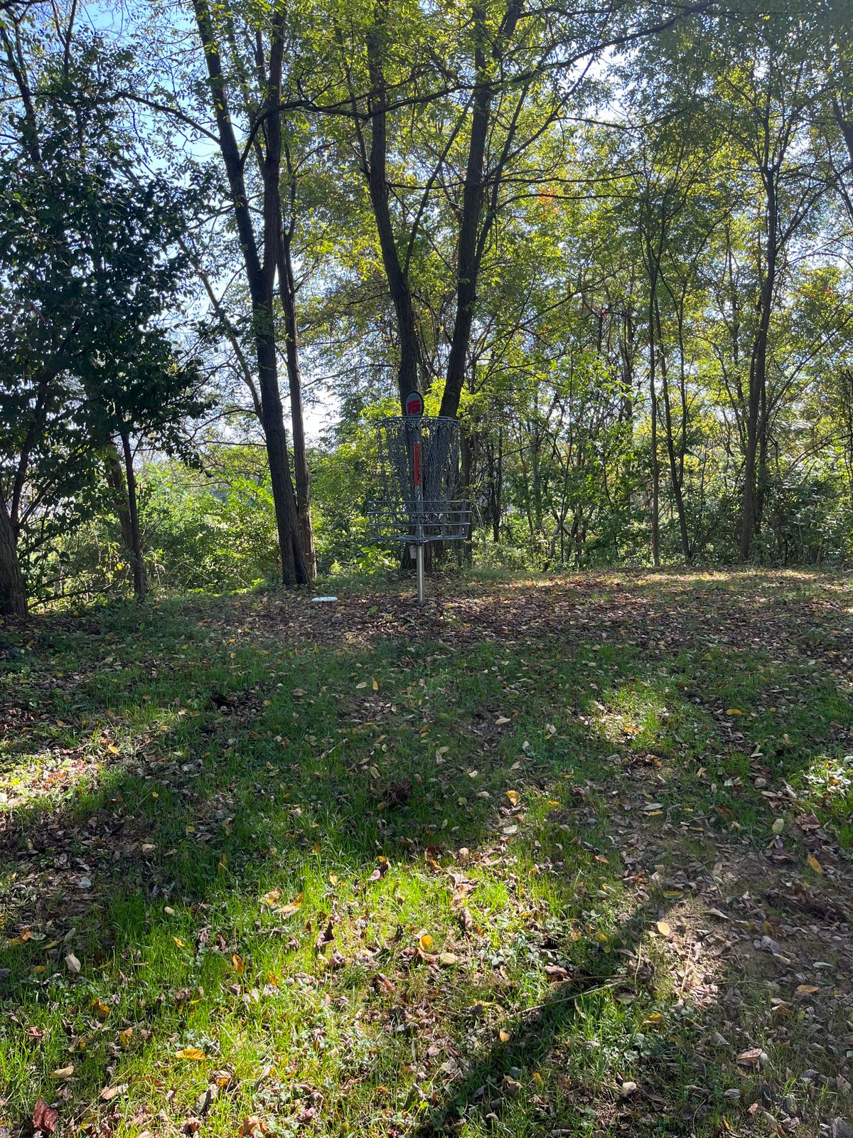 Hole 15 basket