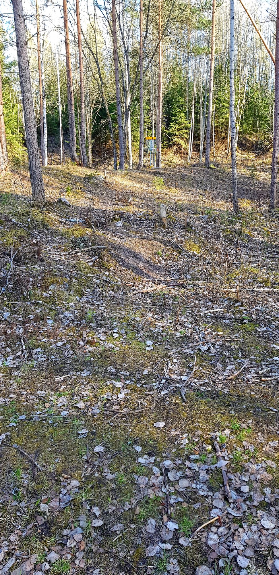 Hål 5 tillfällig korg