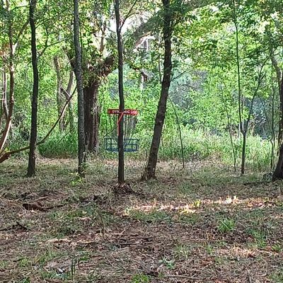 Hole 7
