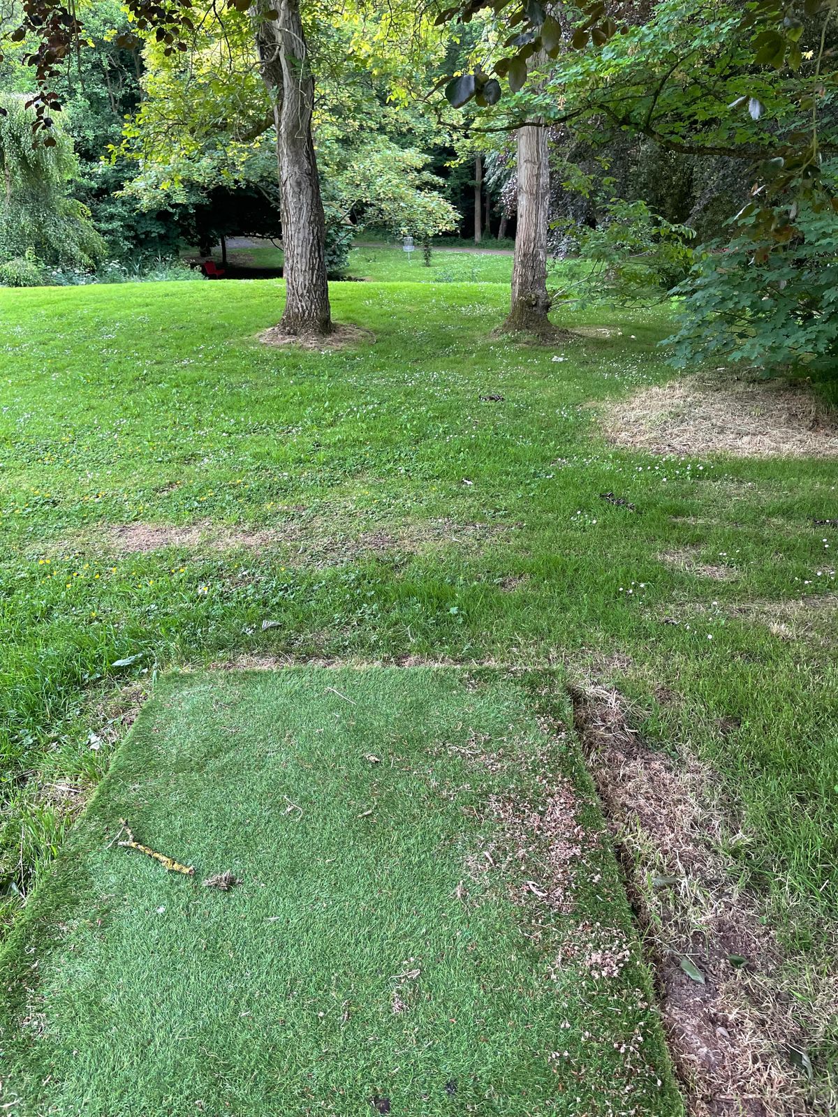 Hole 11 tee pad