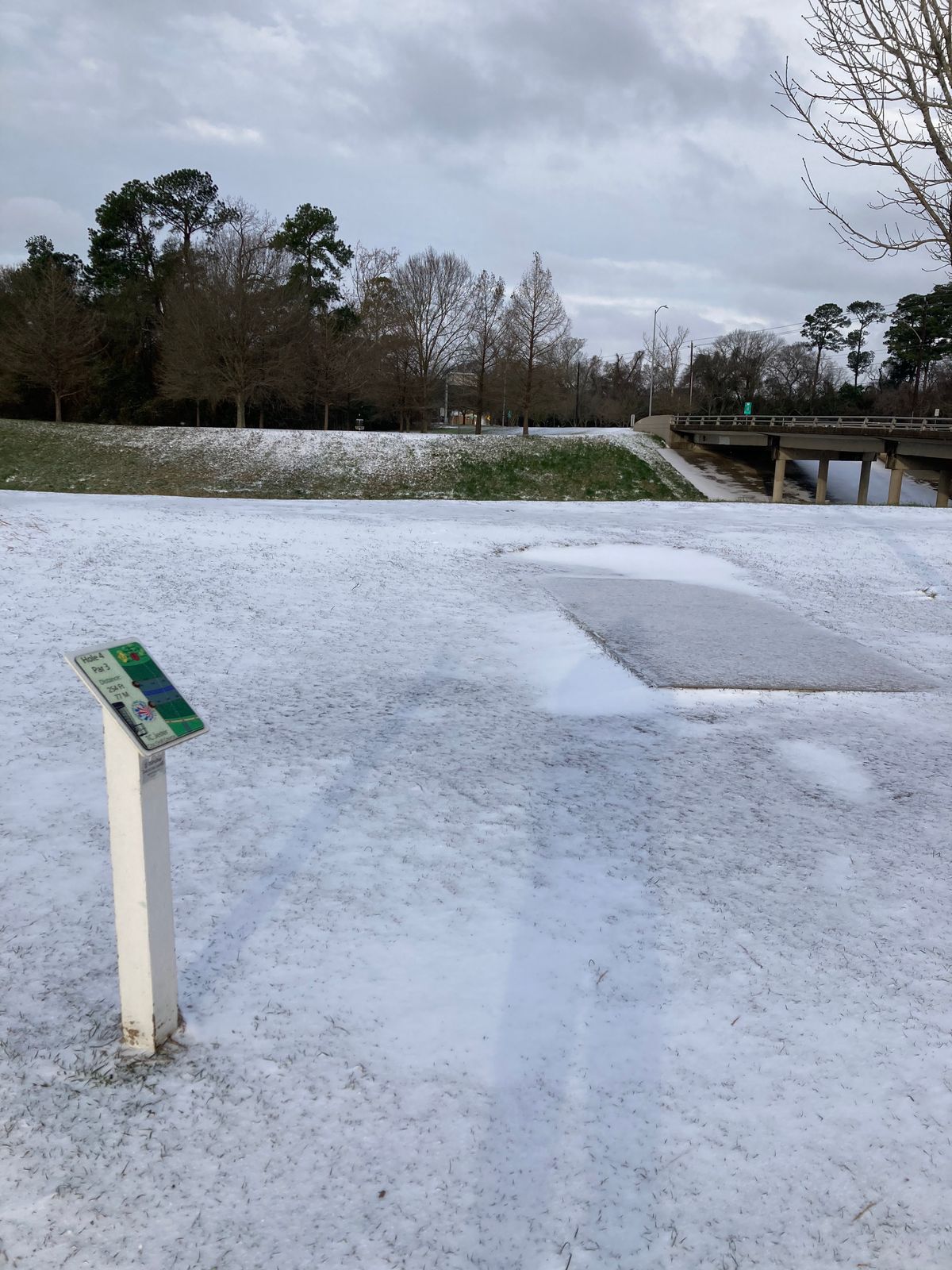 TCJ #4 Tee pad Great Freeze of February 2021