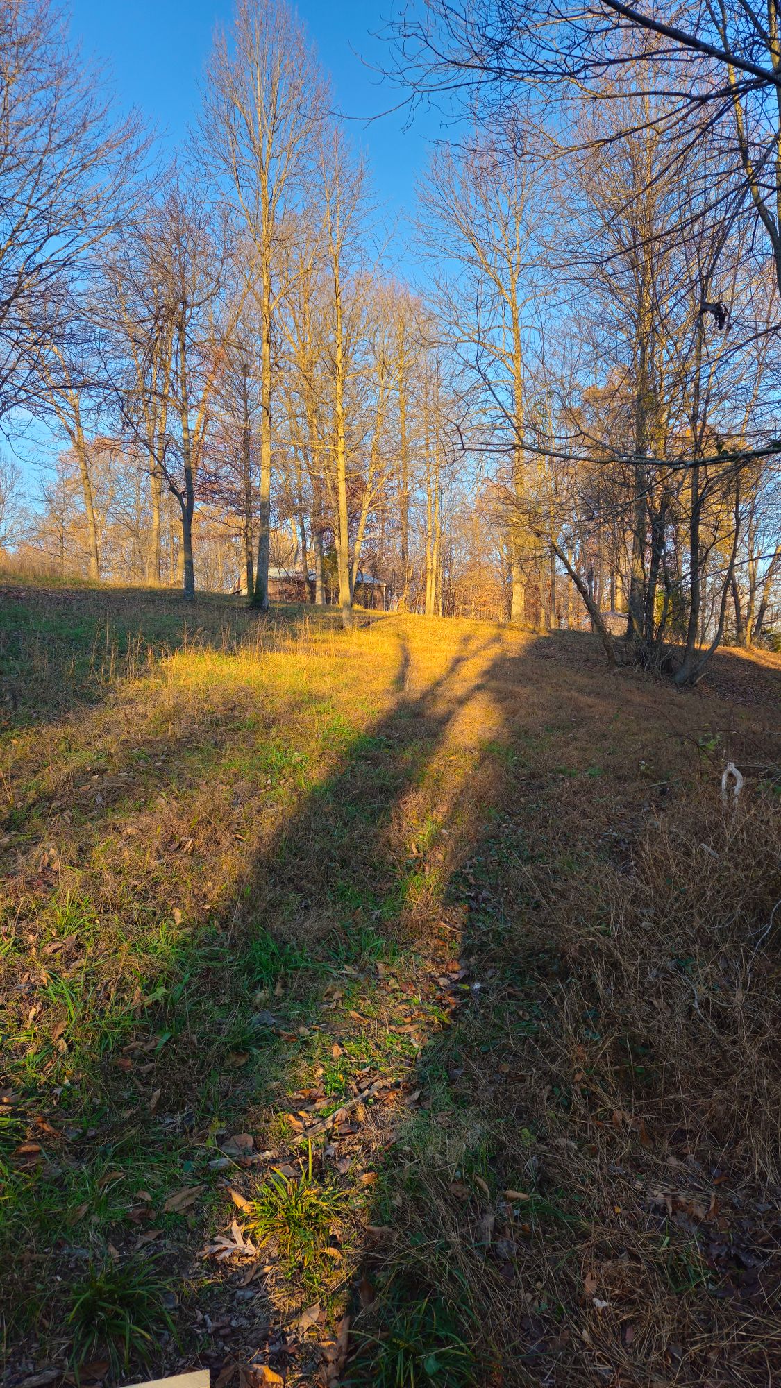 Hole 3