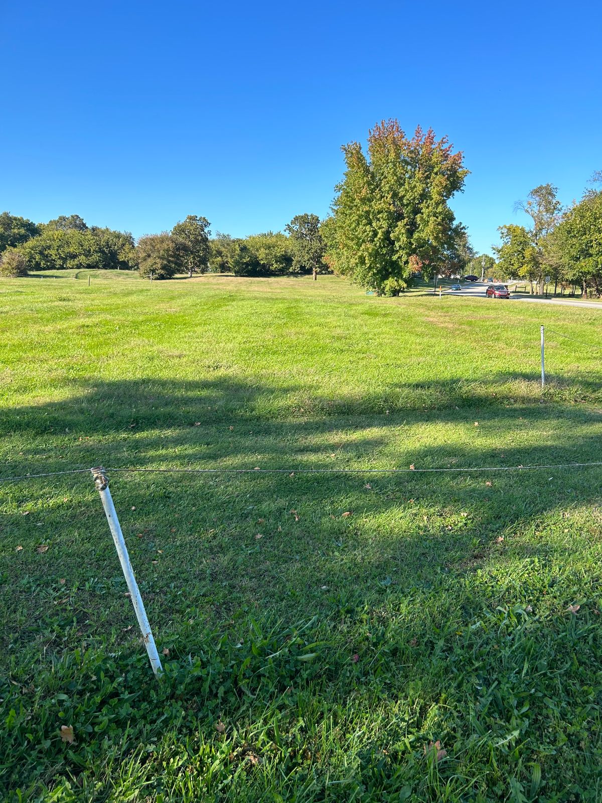 Hole #11 Grass Tee Pad. There is no Hole #11 Post. 
