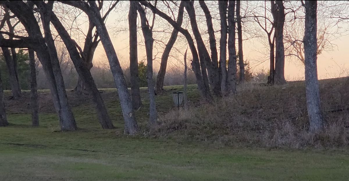 hole 4 zoomed in view of green and basket from fairway