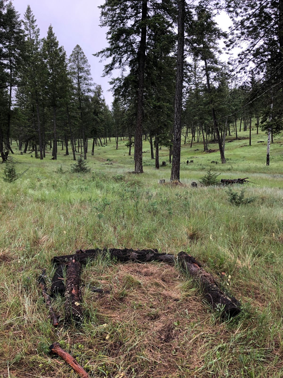 Hole 5