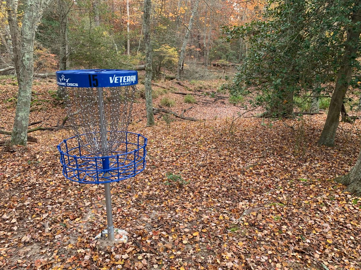 Beautiful baskets