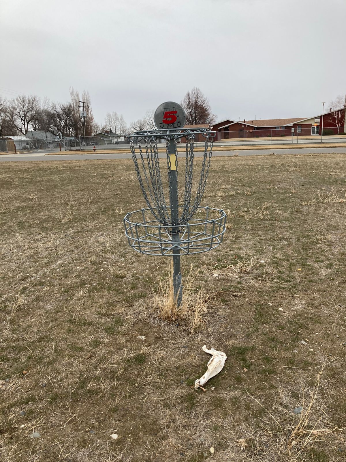 Hole 5 basket