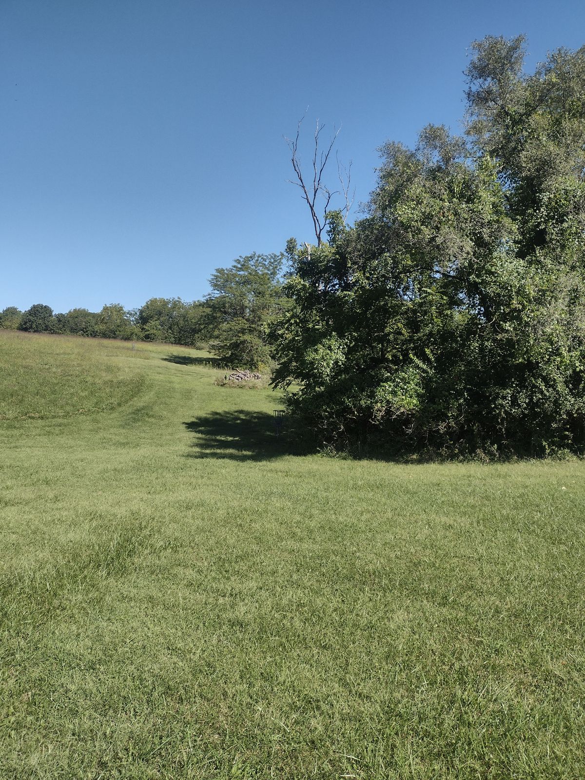 Hole 1 Basket
