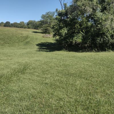 Hole 1 Basket
