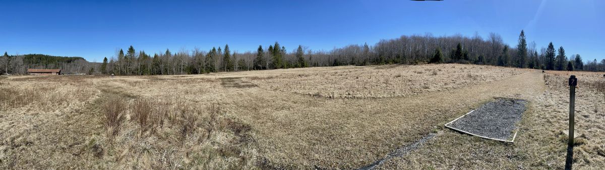 Hole 7-
