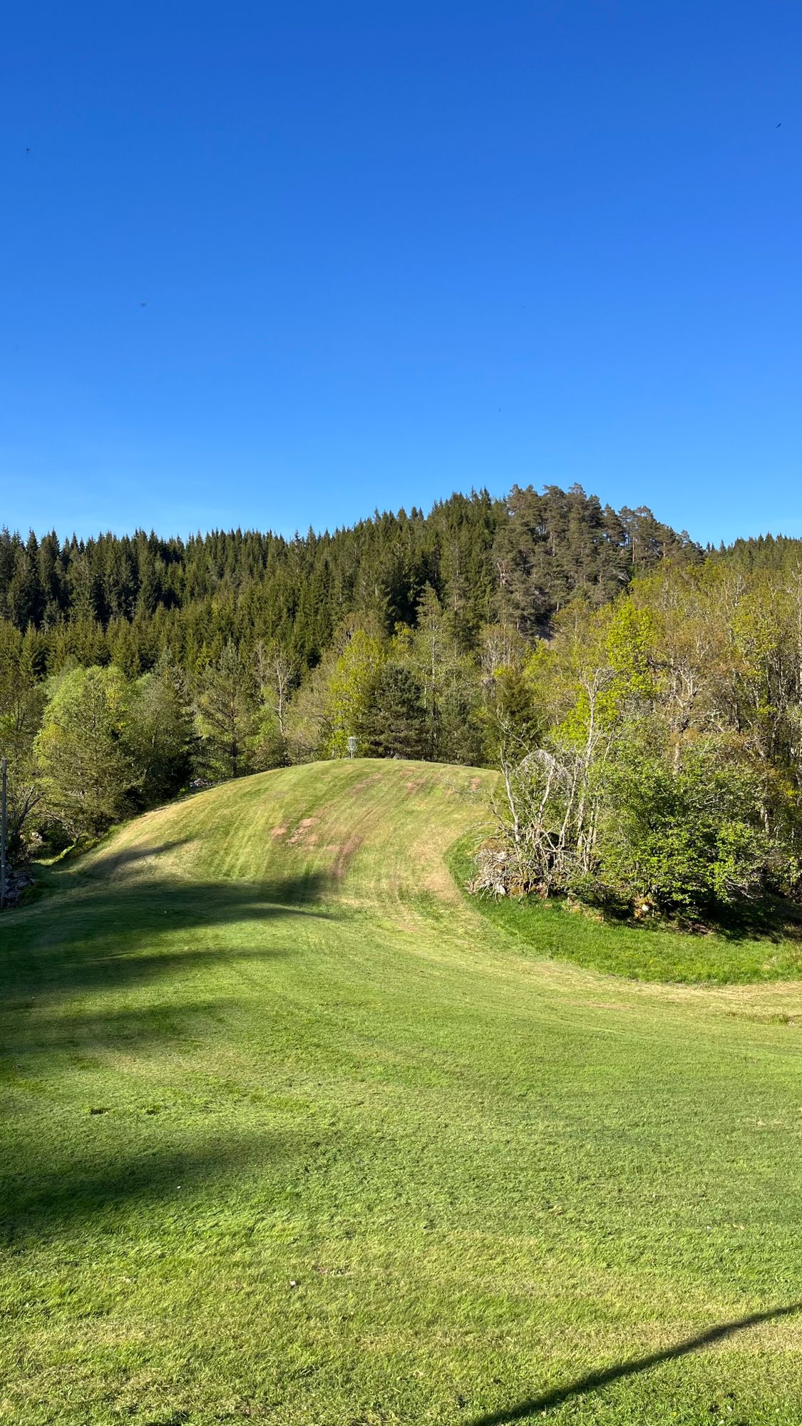 Hole 12