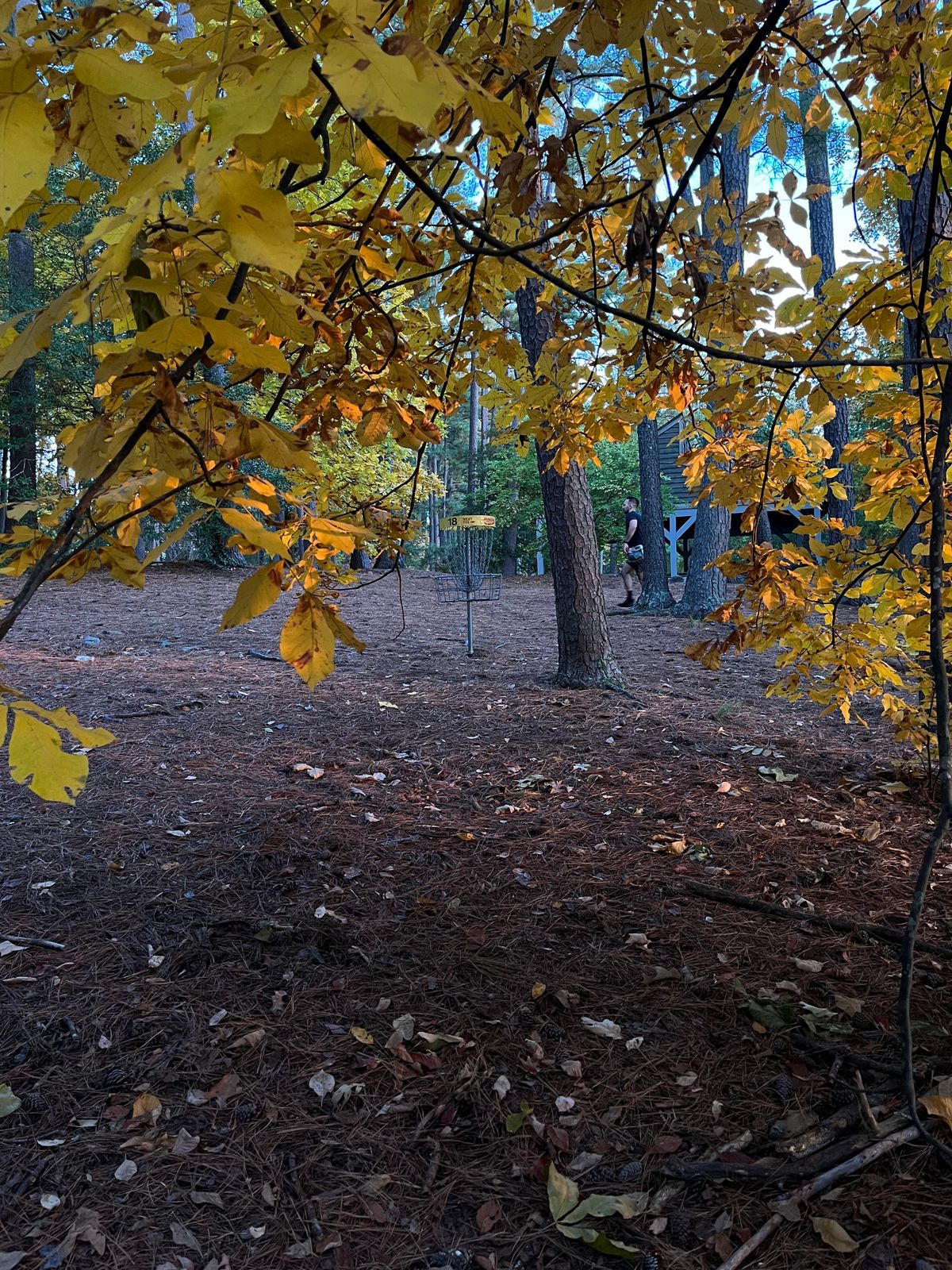 Hole 18. In the rough, but at least it’s scenic