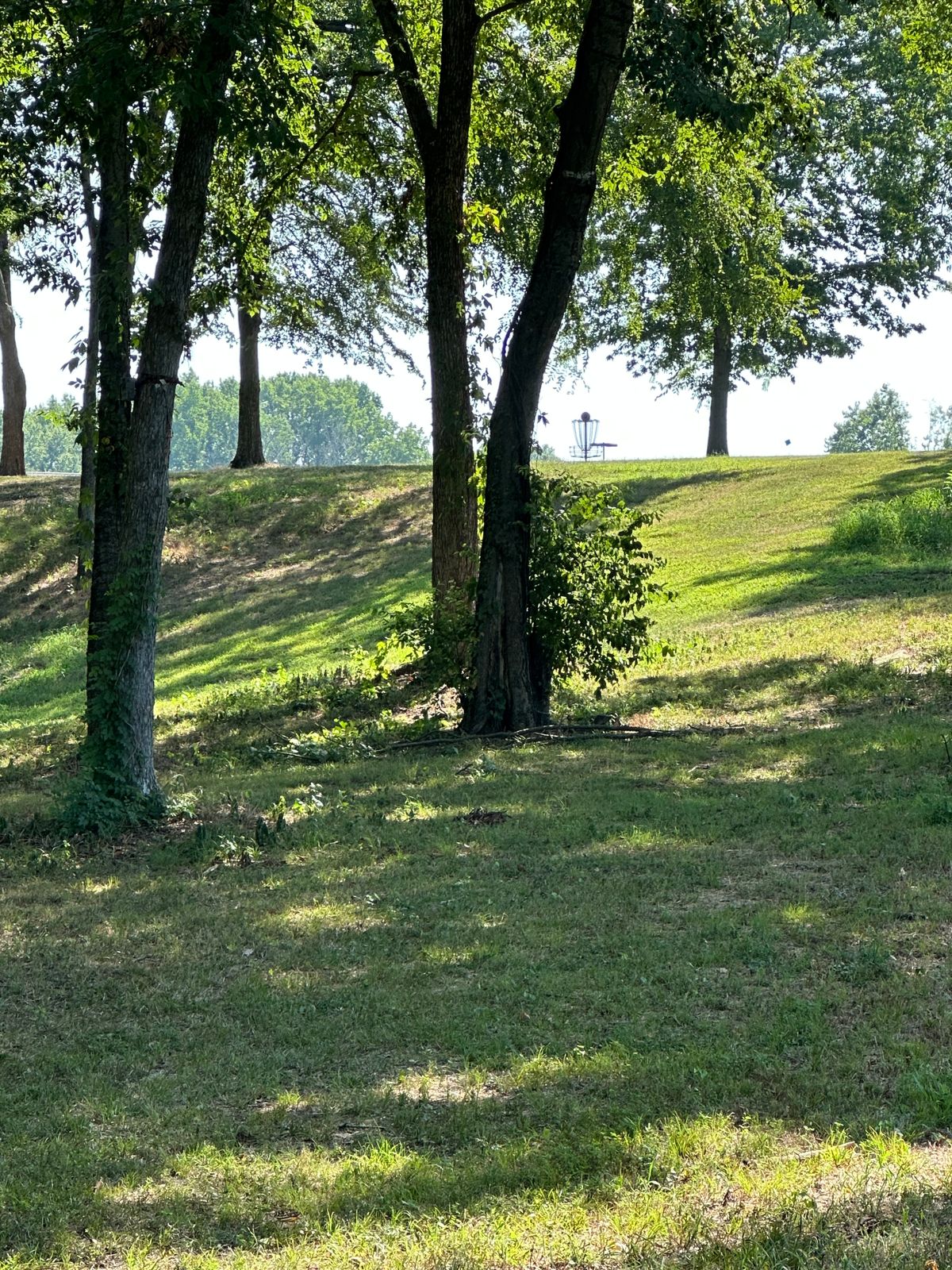 Hole 7 Basket is elevated as seen from this view from fairway to the basket up the hill.