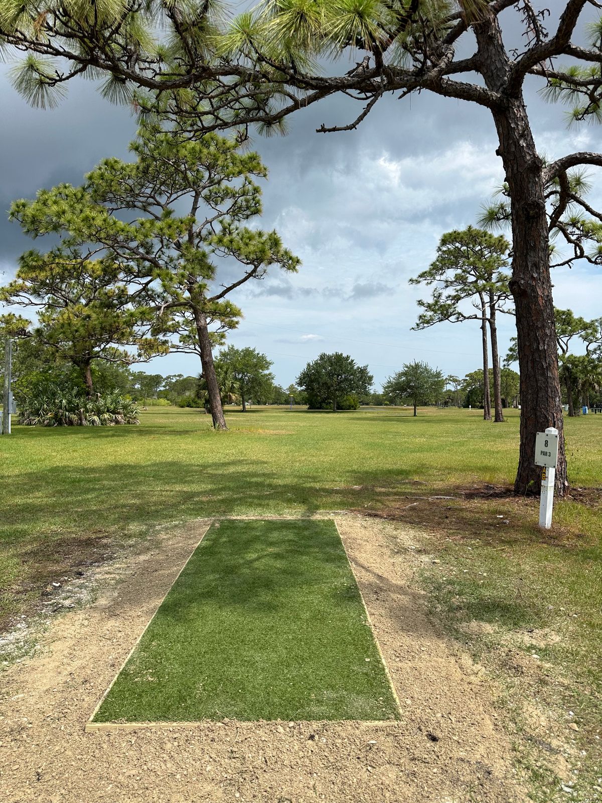 Hole 8 short