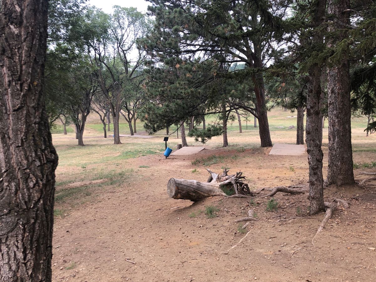 Basket of 8 looking down at the tee pads for 9