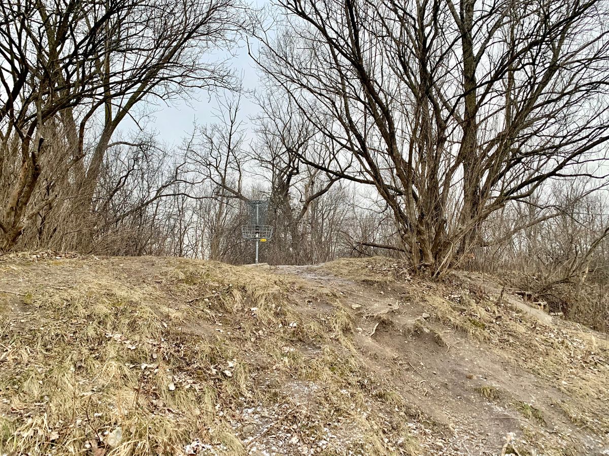 Approach to basket for hole 11