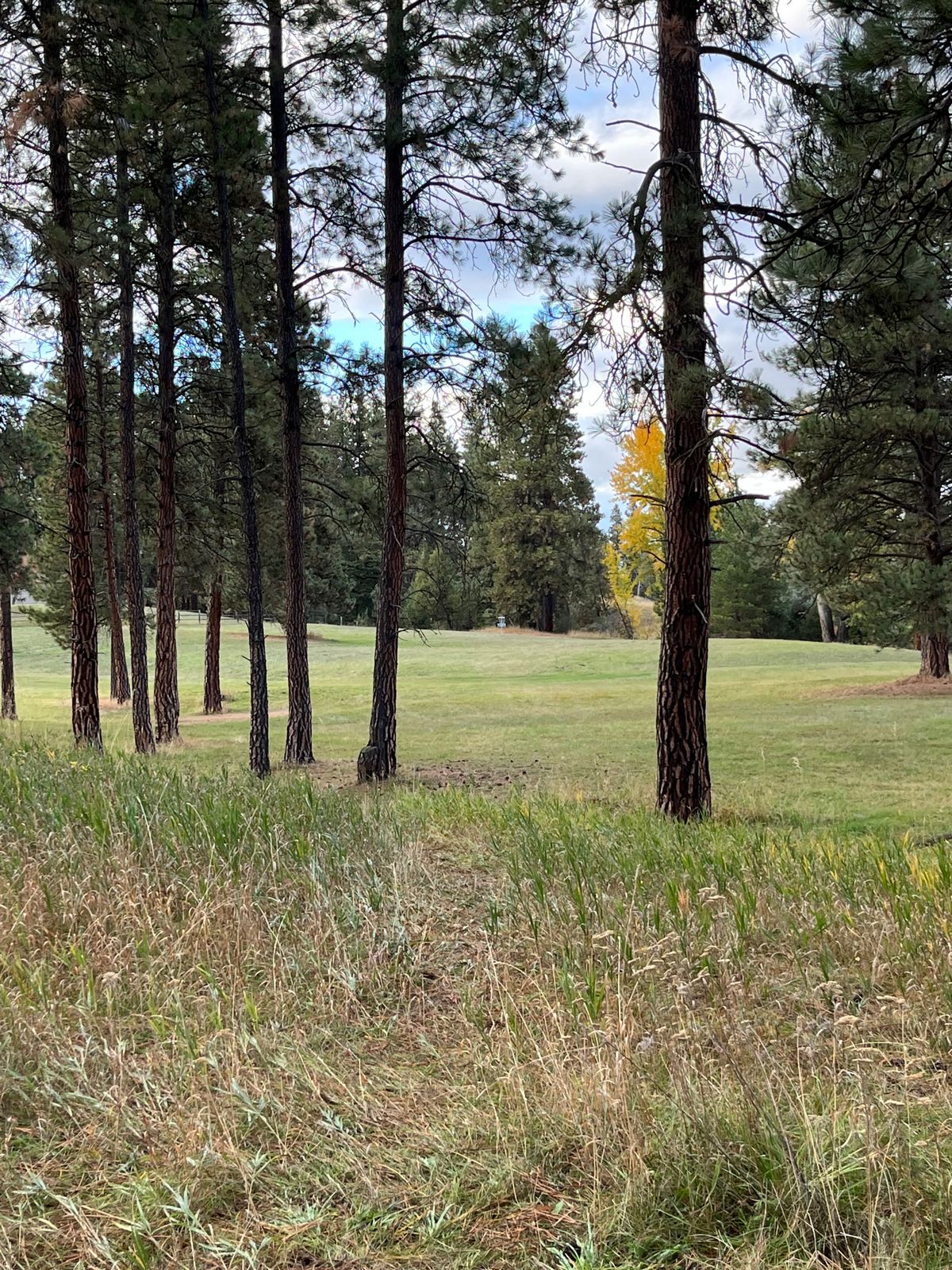 Hole 6