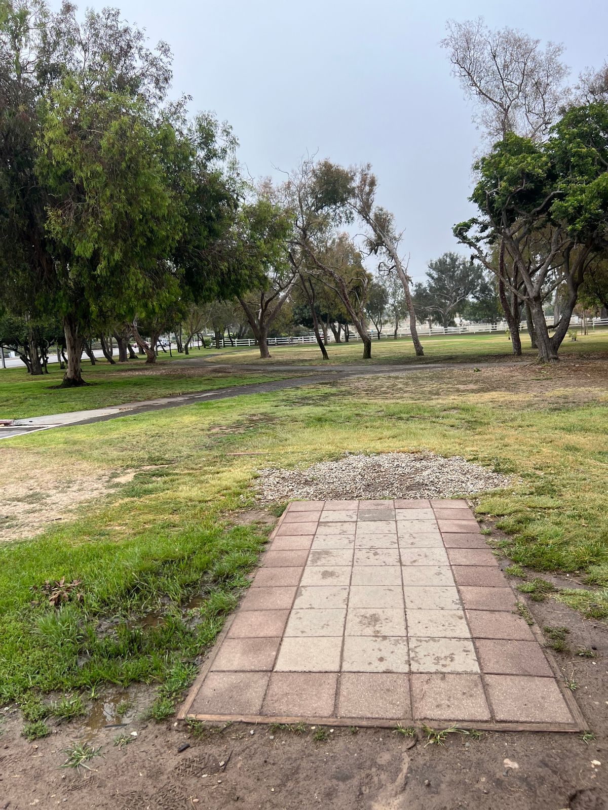 Hole 10. Hyzer or flex shot