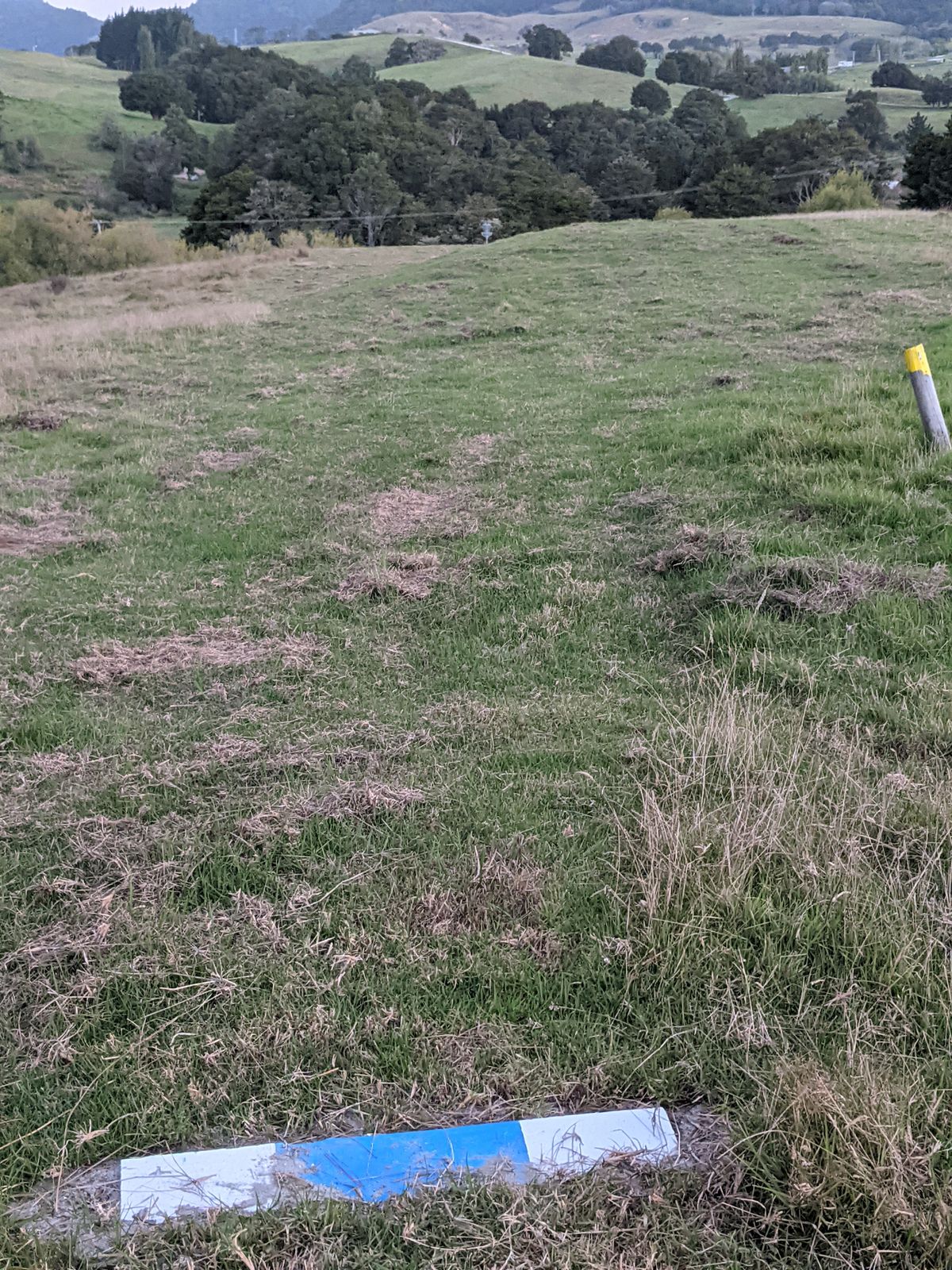 Hole 7