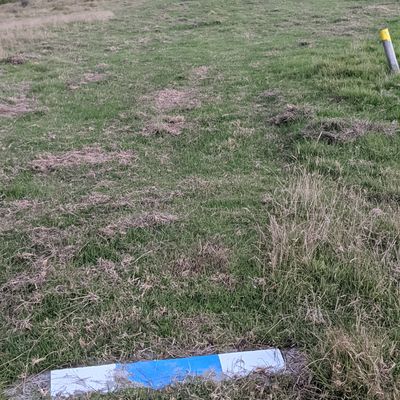 Hole 7