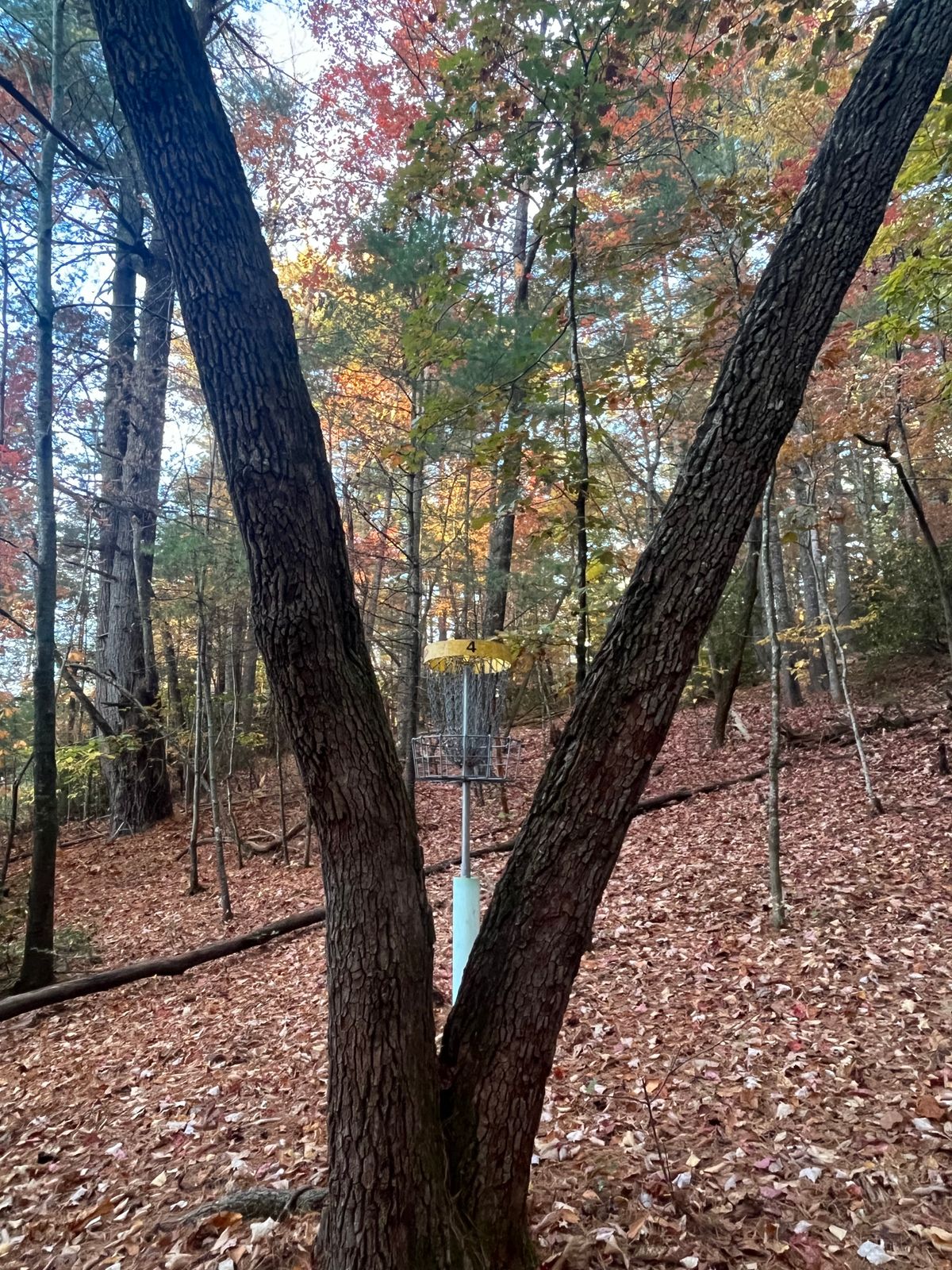 Hole 4
