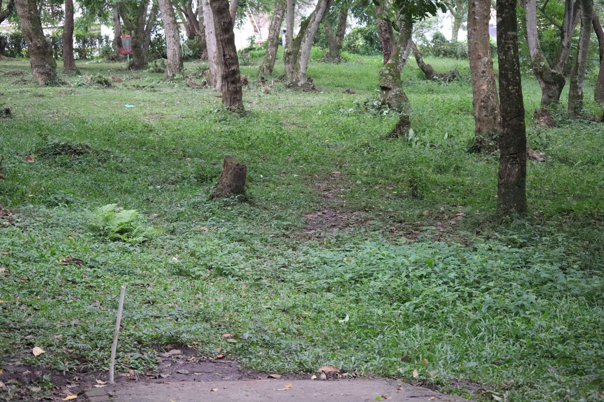 Hole 14 Long Tee