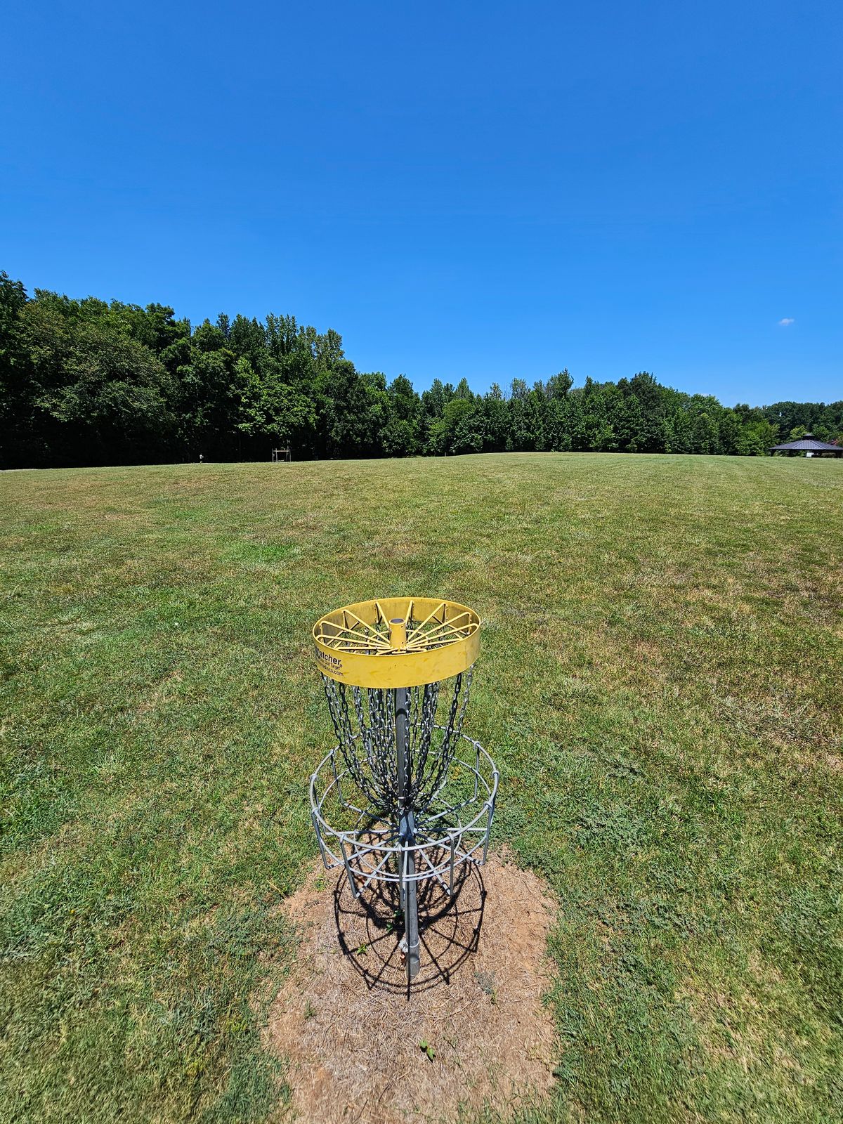 Hole 7's basket looking back at the tee pad