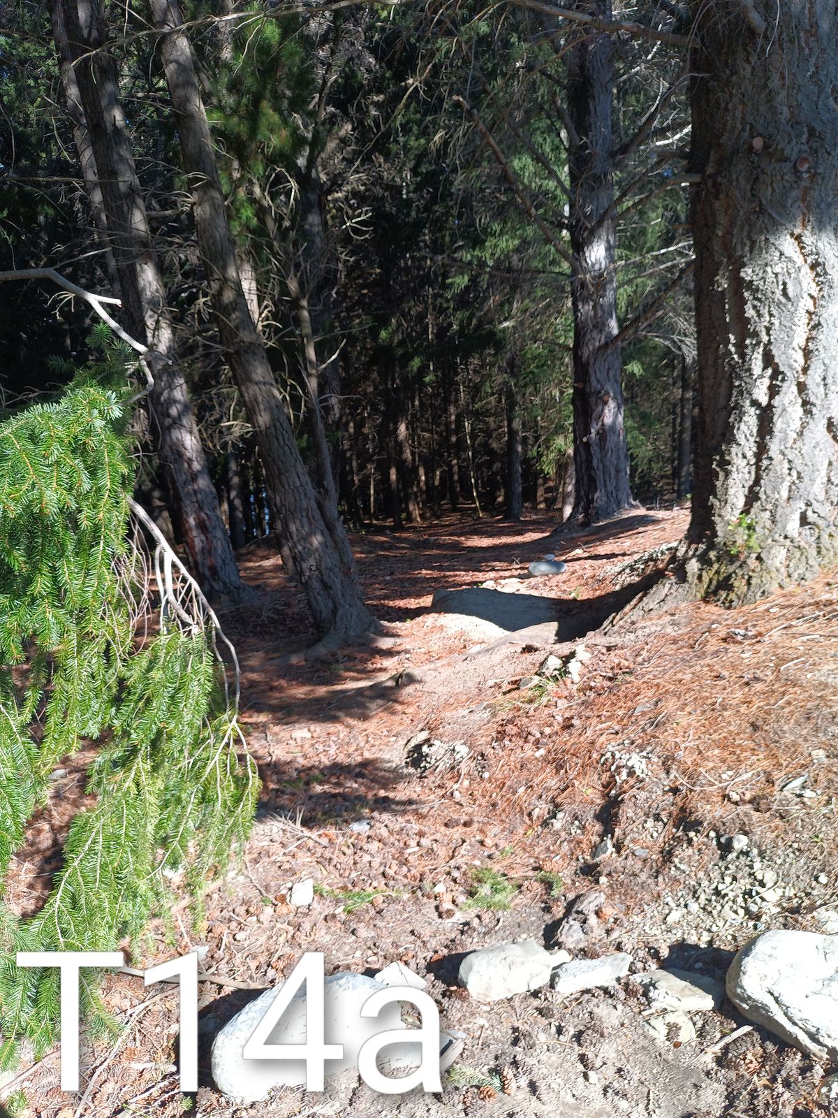 77m straight to the target