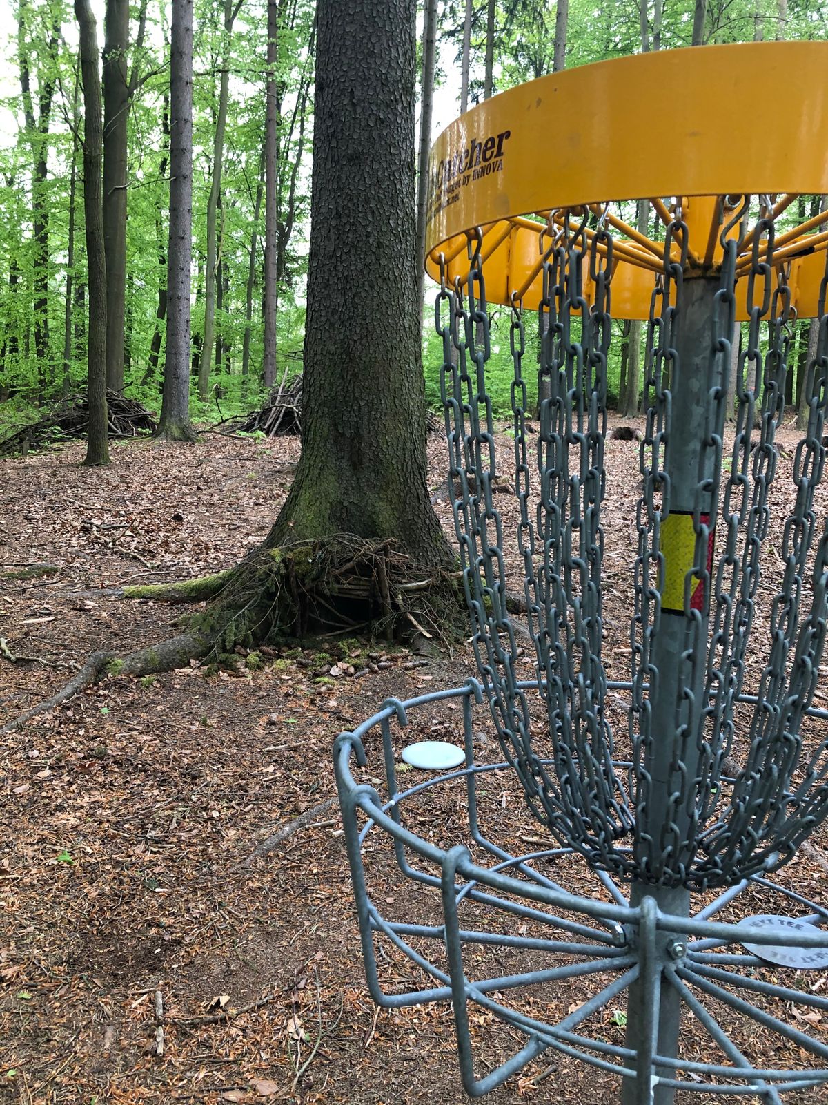 Hole 8