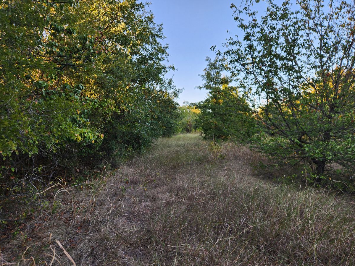Hole 6