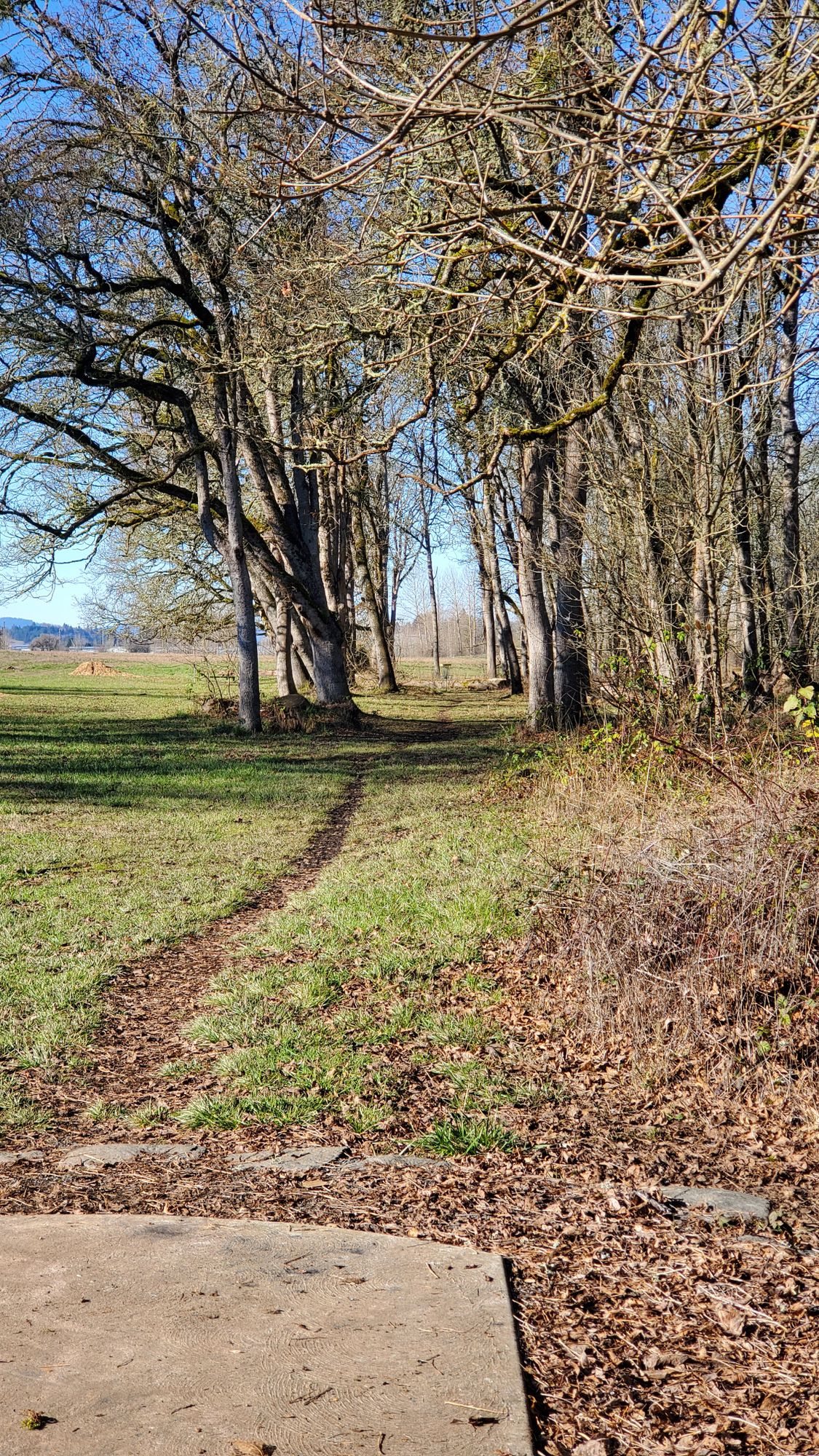Hole 14
