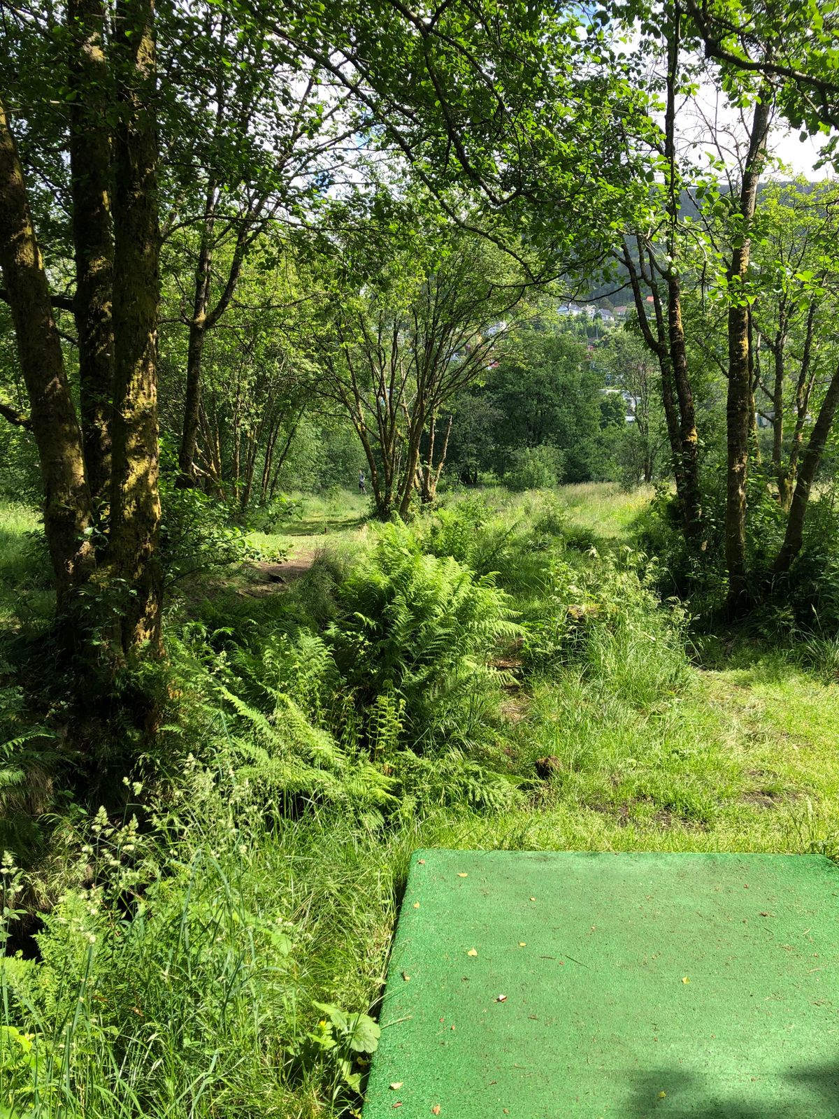 Tee Hole 2