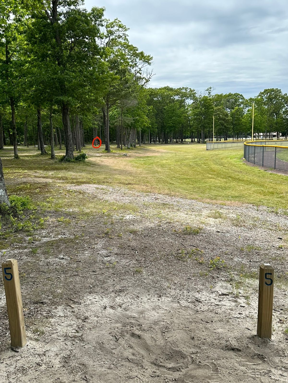Hole 5 from Short Tee