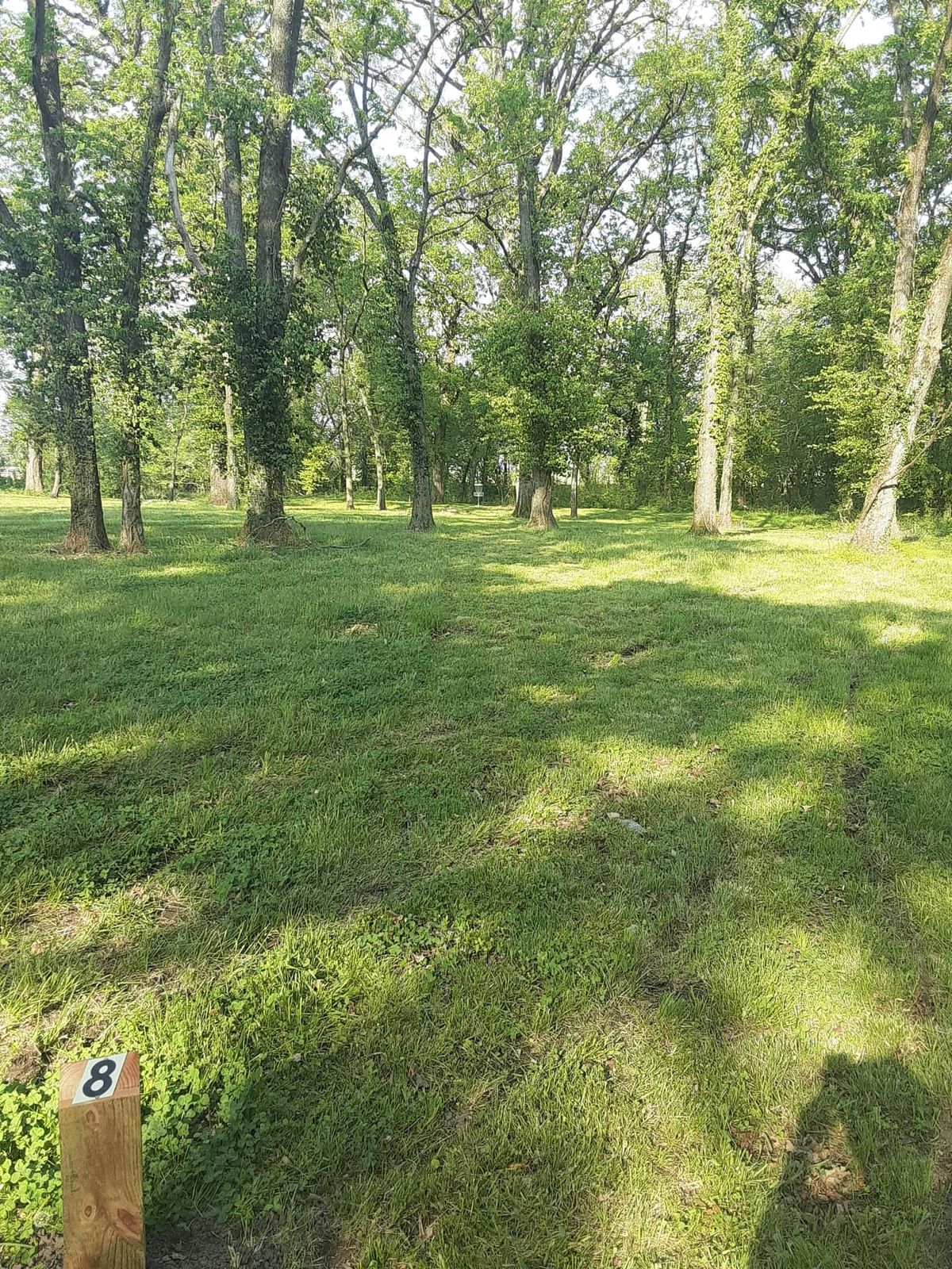 Hole 8