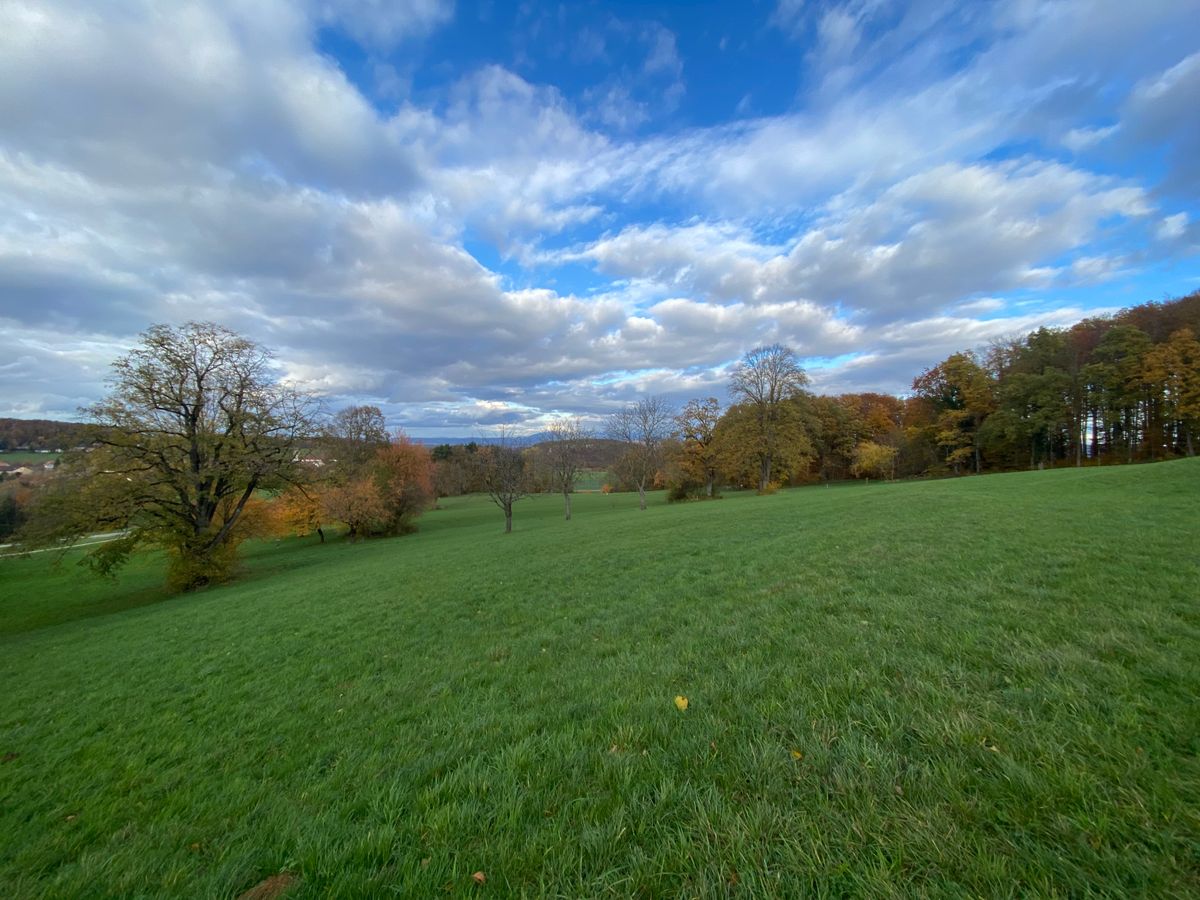 Overview of hole Nr. 4