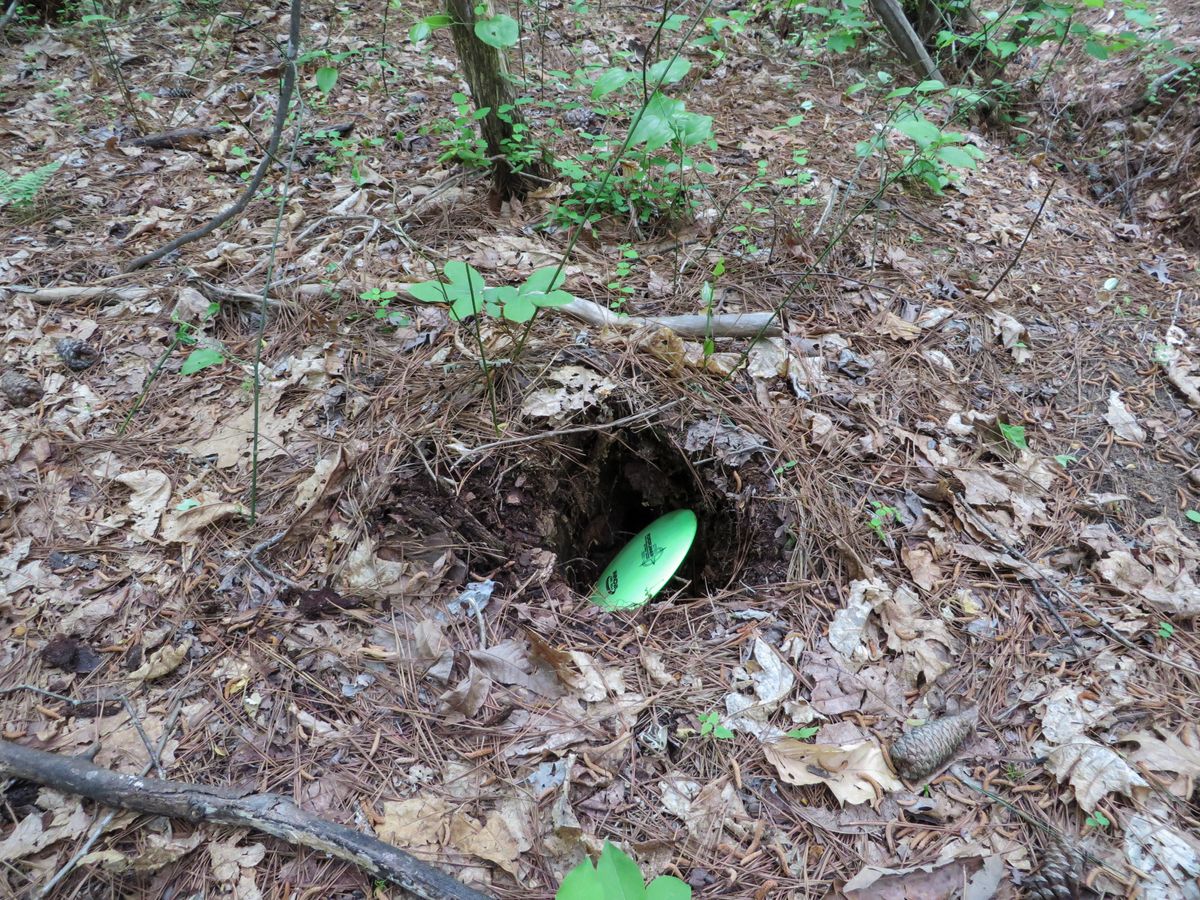 Hole 13