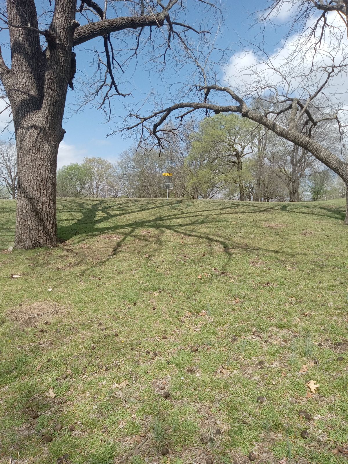 Hole 1, green