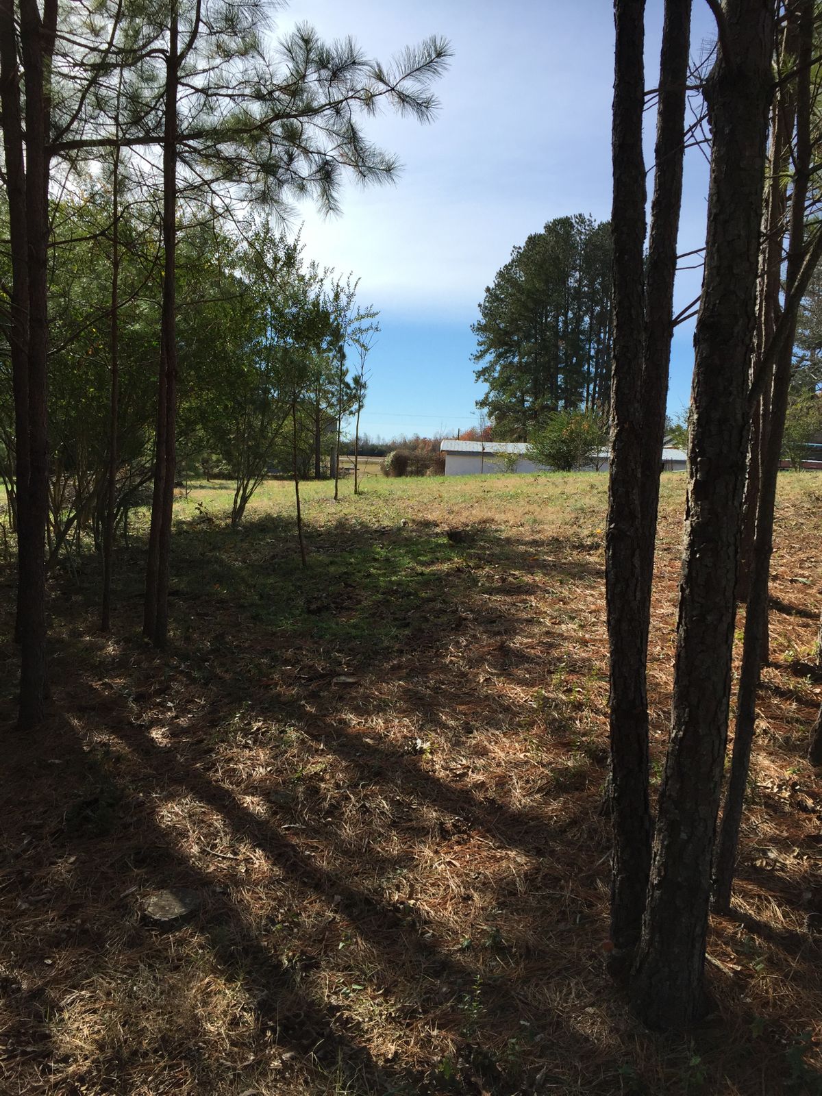 Hole #16 Right Early Fairway