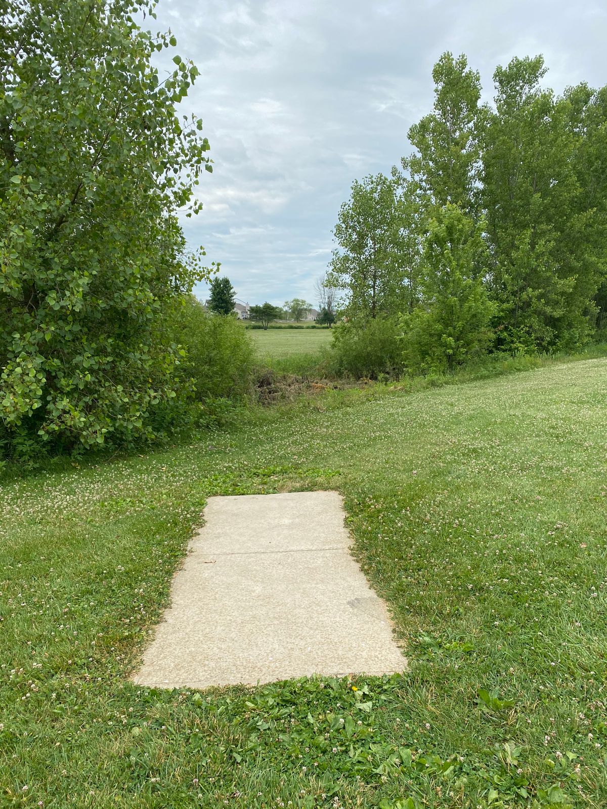 Hole 6 (Tee Box)