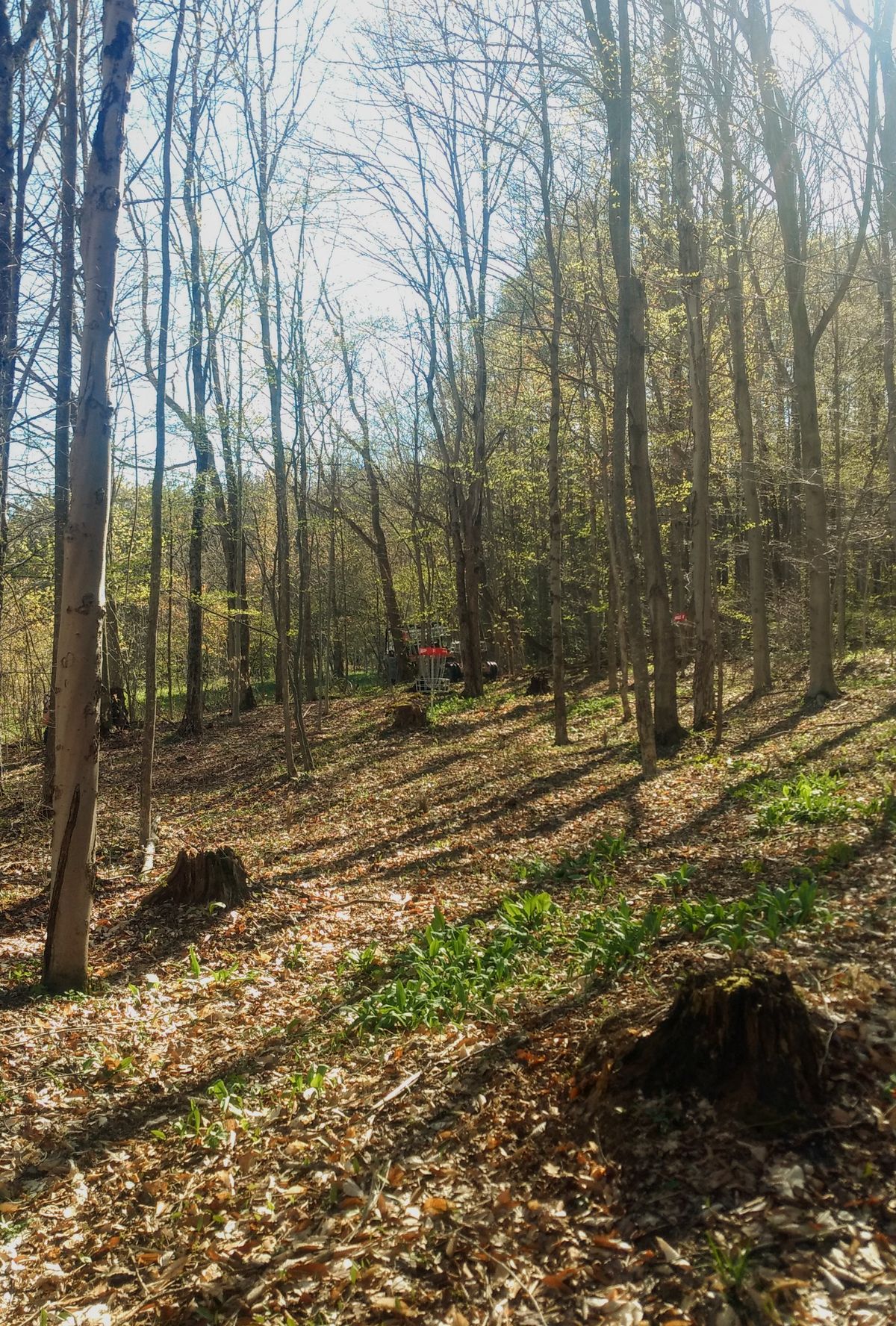 Hole 11