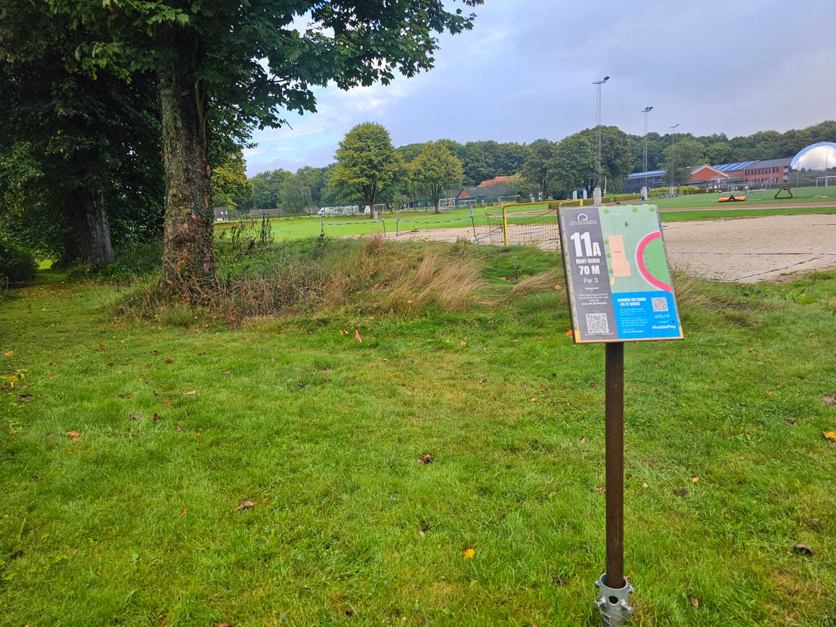 Tee 11a