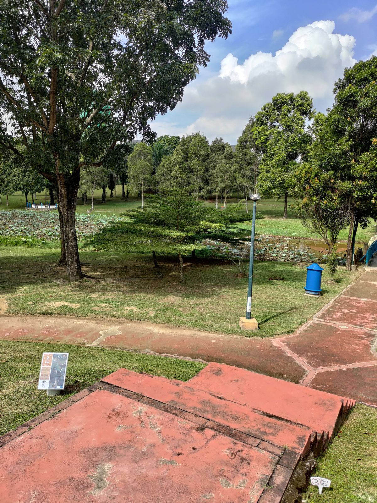 Hole 2 Tee pad