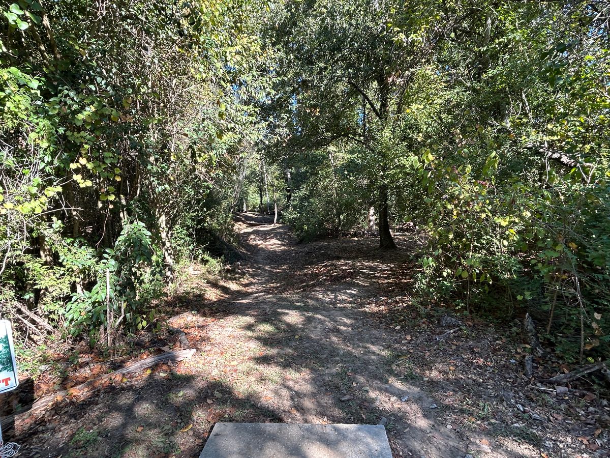 Hole 3 Fairway