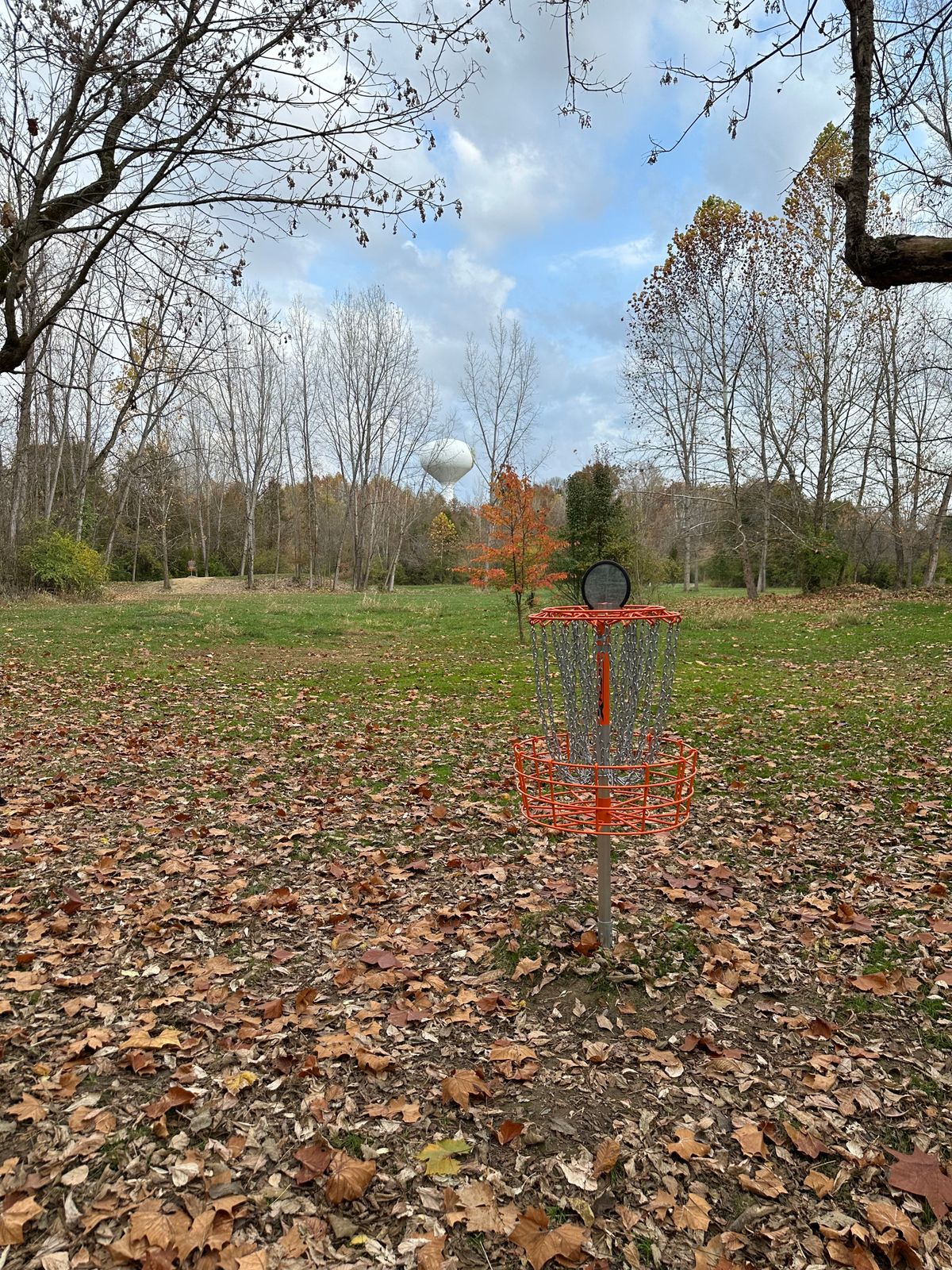 Behind hole 12 basket looking across course (10/31/24)