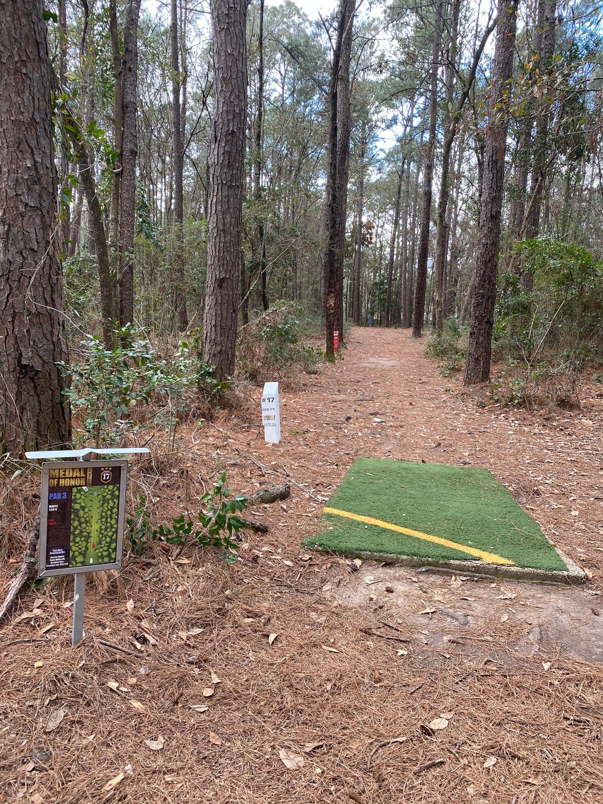 Decent tee boxes
