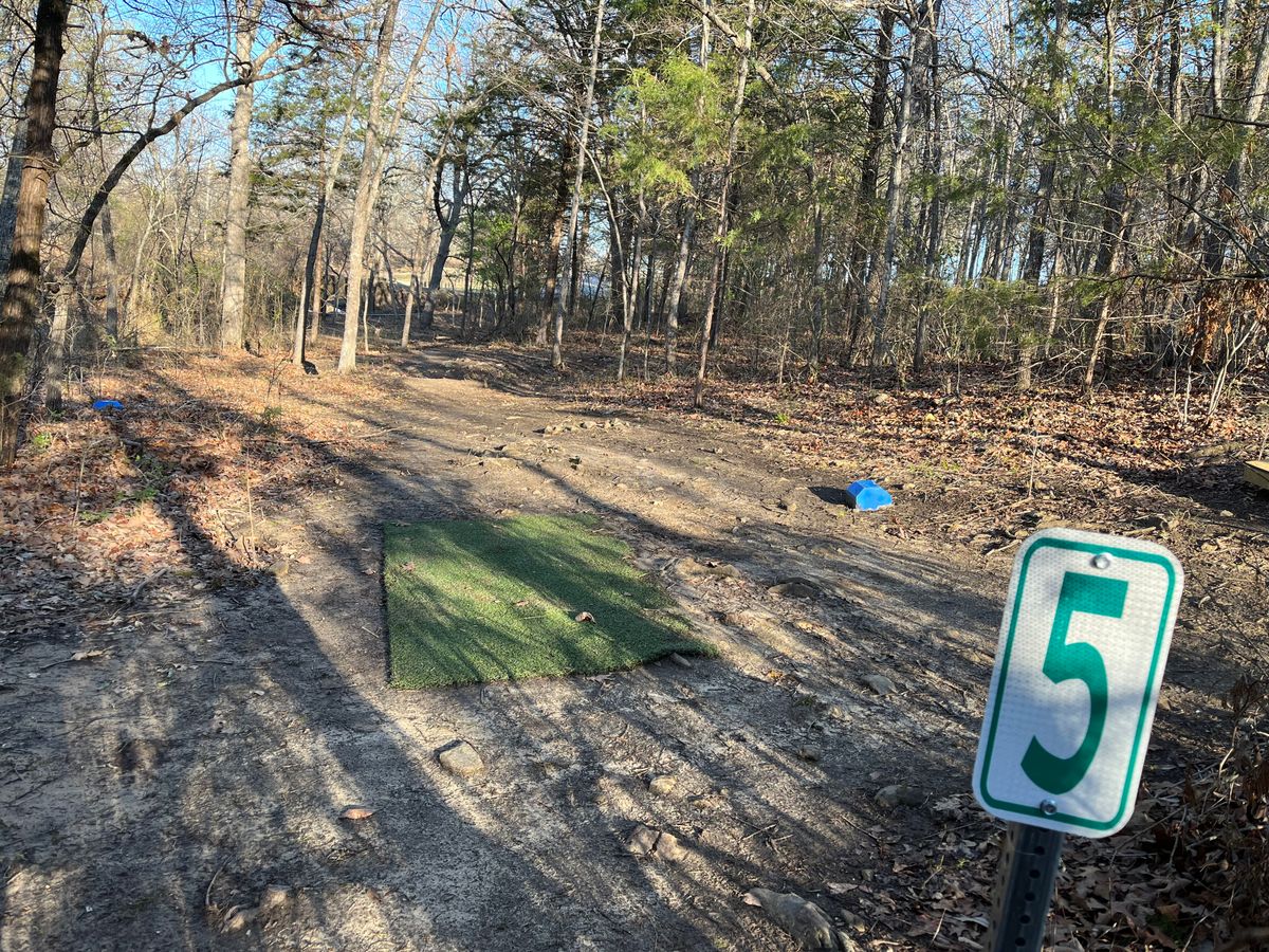 Hole 5, S curve basket on right side