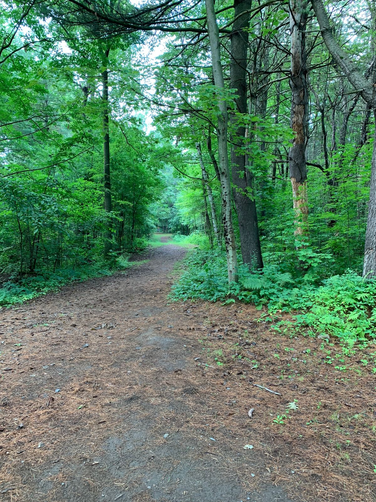Hole 1